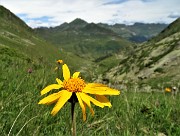 MONTE MINCUCCO (croce 1832 m - cima 2001 m) ad anello dal piano del Lago di Valmora il 17 luglio 2021 - FOTOGALLERY